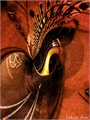 cameringo_20151220_141511