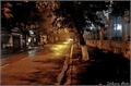 night51